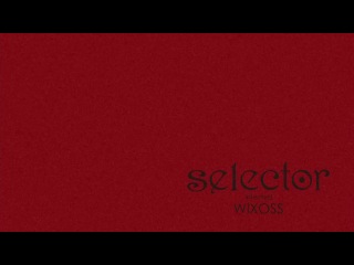 [puzzle]selector infected wixoss - 05
