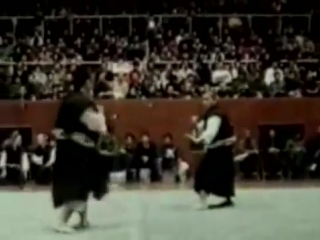 kung fu masters fight.