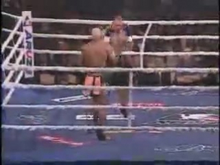 terrible knockouts head-kick ami (hl)