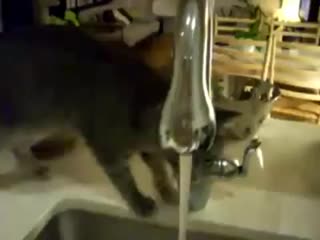 way to drink water :)